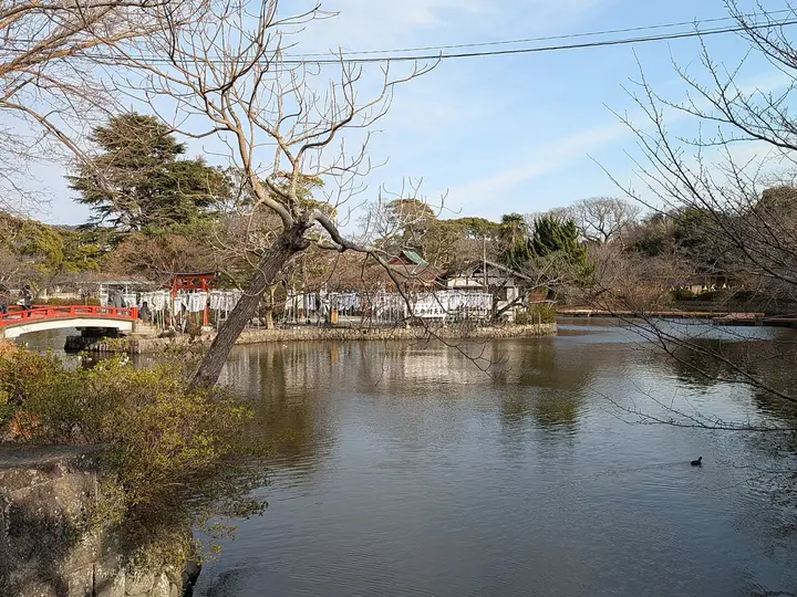 鶴岡八幡宮の源平池