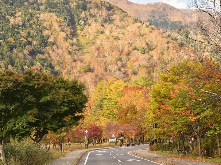 奥日光の紅葉の道